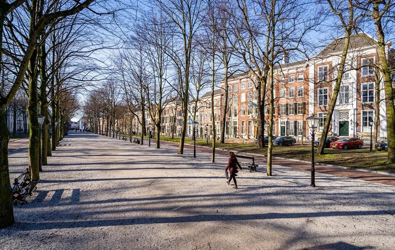 Lange Voorhout in Den Haag