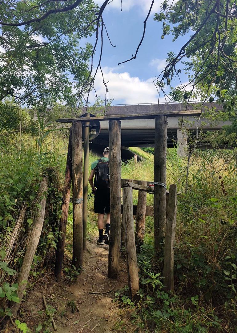 Langs de Gatesvijver, wandeling door de Wellemeersen