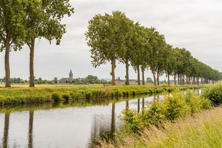 Langs de hoge bomen aan de Schelde
