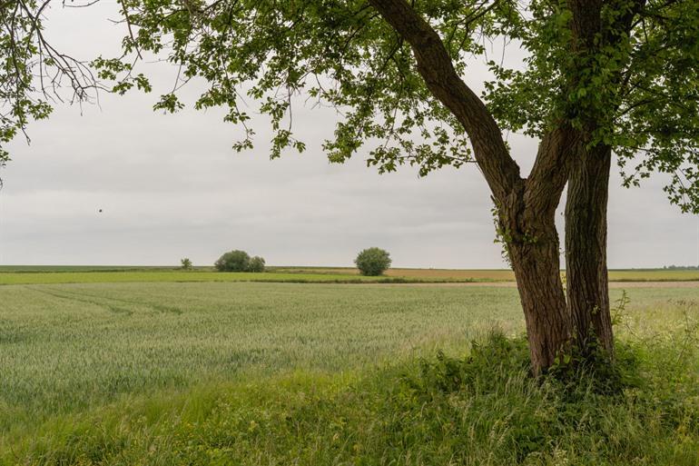 Langs de Trimaarzate in Sint-Denijs
