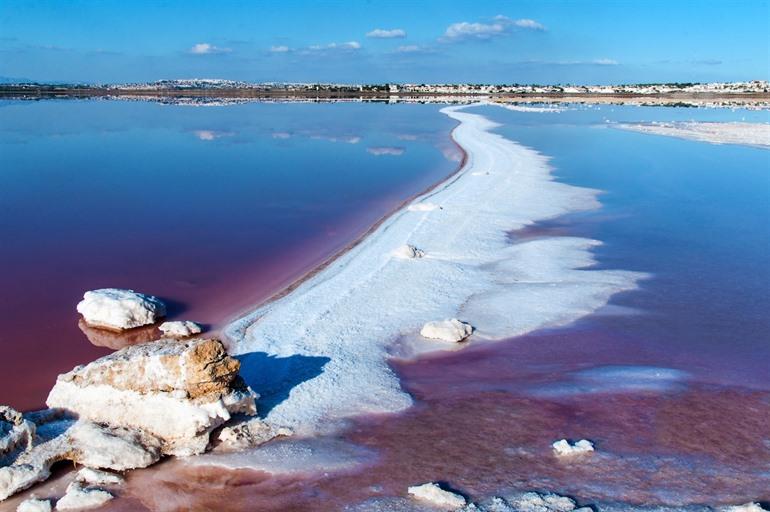 Las Salinas de Torrevieja 