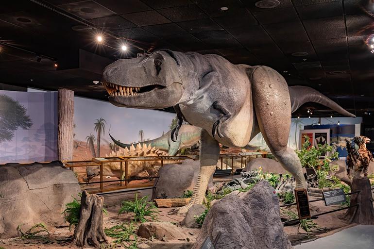 Las Vegas Science & Natural History Museum