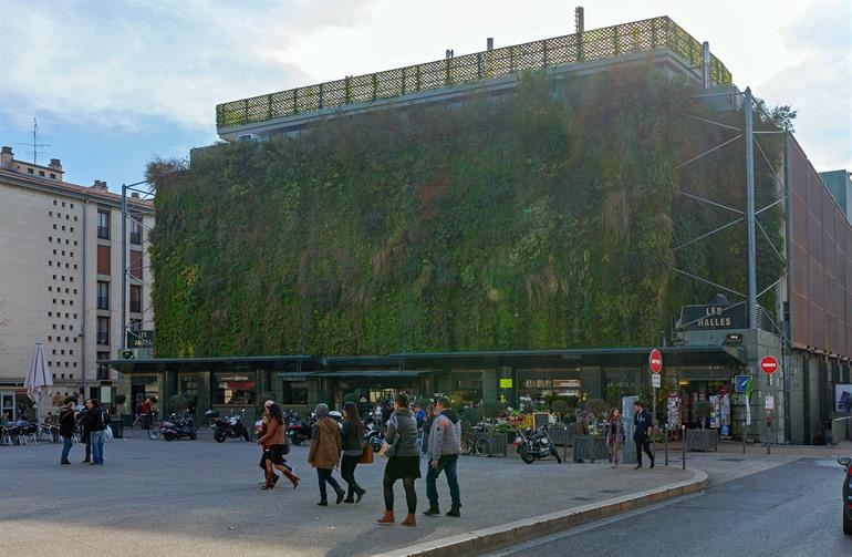 Les Halles d'Avignon, Provence