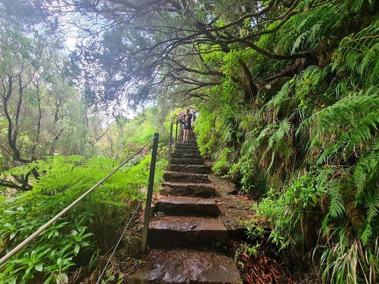 Levada das 25 Fontes PR6 wandeling op Madeira