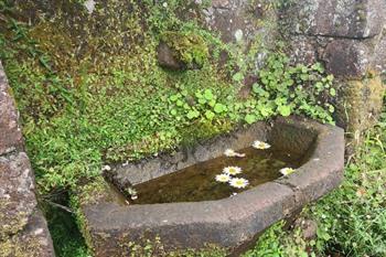 Levada das 25 Fontes PR6 wandeling op Madeira