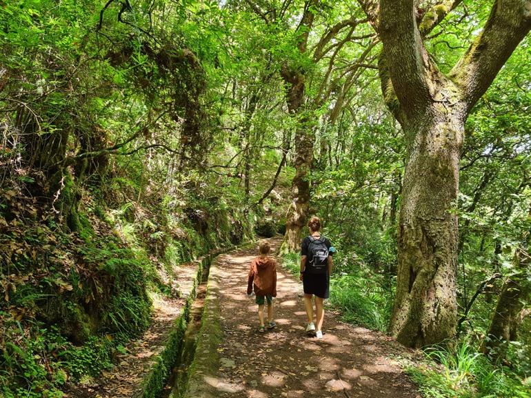 Levada dos Balcões PR11 wandeling op Madeira
