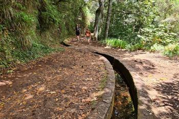 Levada dos Balcões PR11 wandeling op Madeira