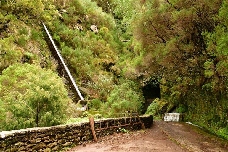 Levada