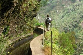 Levada