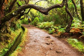 Levada