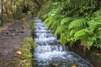 Levada