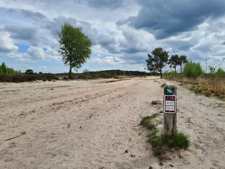 Libelle wandeling op de Kalmthoutse Heide