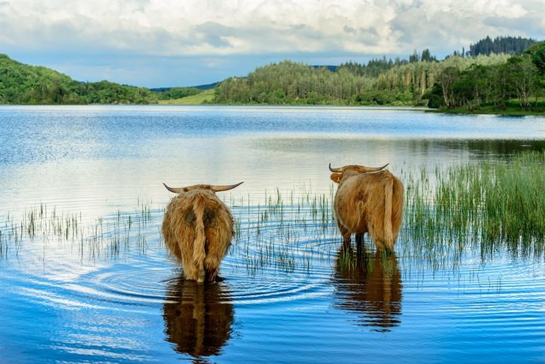 Loch Lomond - Schotland