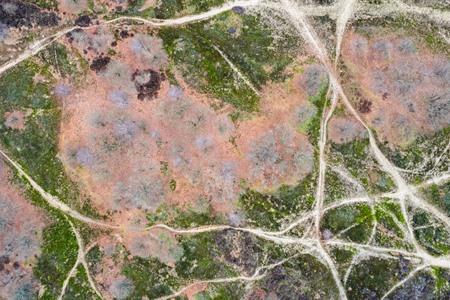 Loonse en Drunense Duinen van bovenaf
