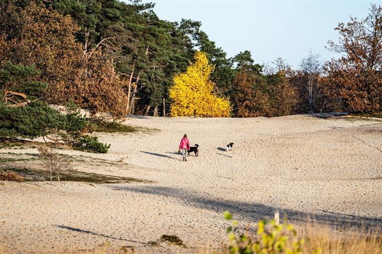 Loonse en Drunense Duinen