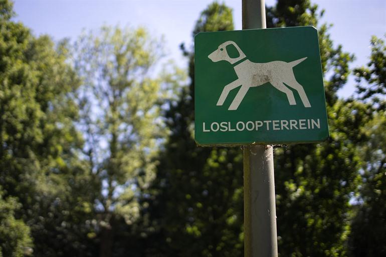 Losloopzone voor honden aangeduid op bordje