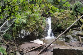 Lotenbachkloof wandeling, Zwarte Woud