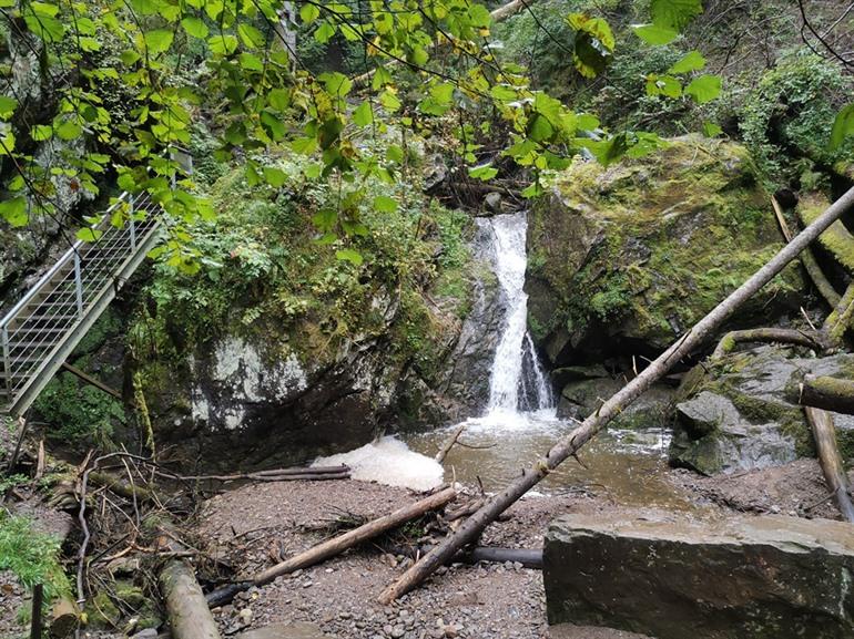 Lotenbachkloof wandeling, Zwarte Woud