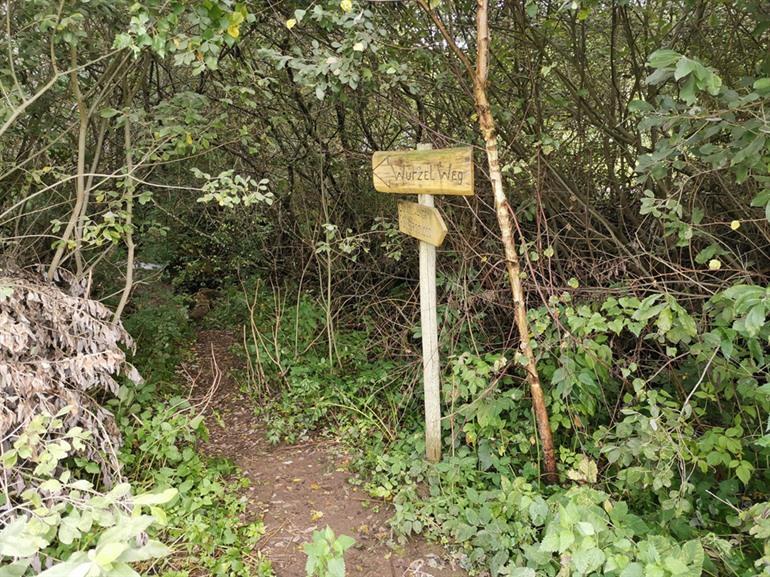 Lotenbachkloof wandeling, Zwarte Woud