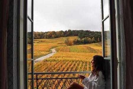 Luxeverblijf met uitzicht op de wijngaarden boeken in Château de Sacy