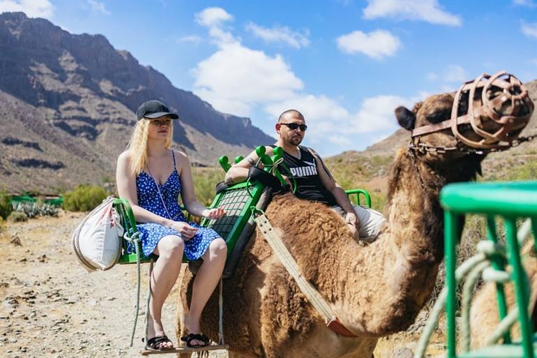 Maak een kamelentocht bij Camel Safari