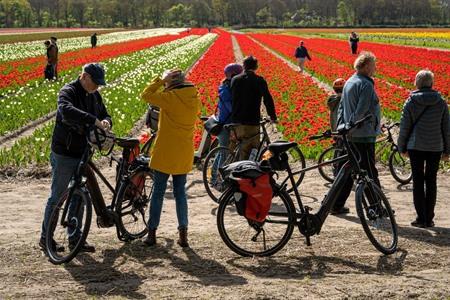 Maak een mooie fietstocht door de Hollandse bloemenvelden