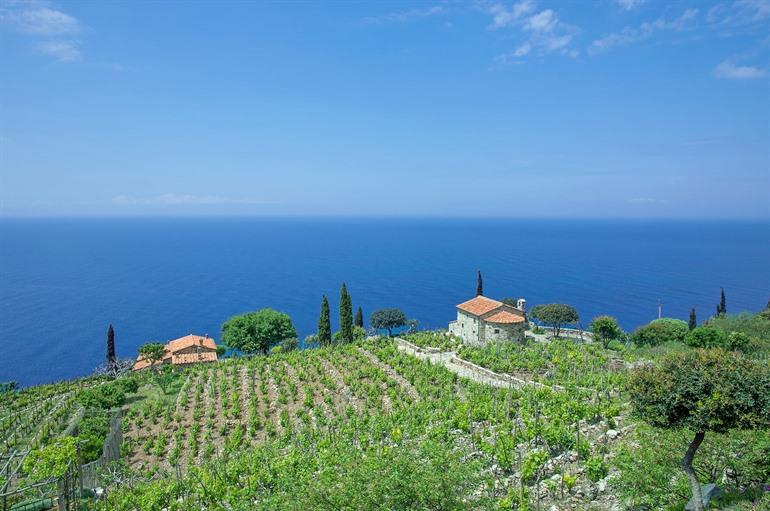 Maak een wijnexcursie in Elba, Toscane