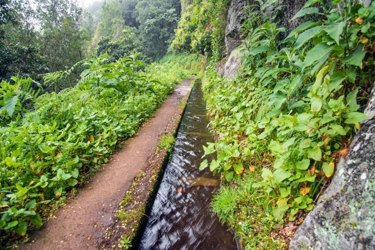 Madeira, Levada