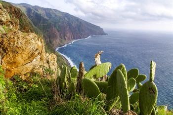 Madeira, Ponta do Pargo 