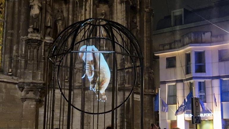 Magic Circle op het Lichtfestival in Gent