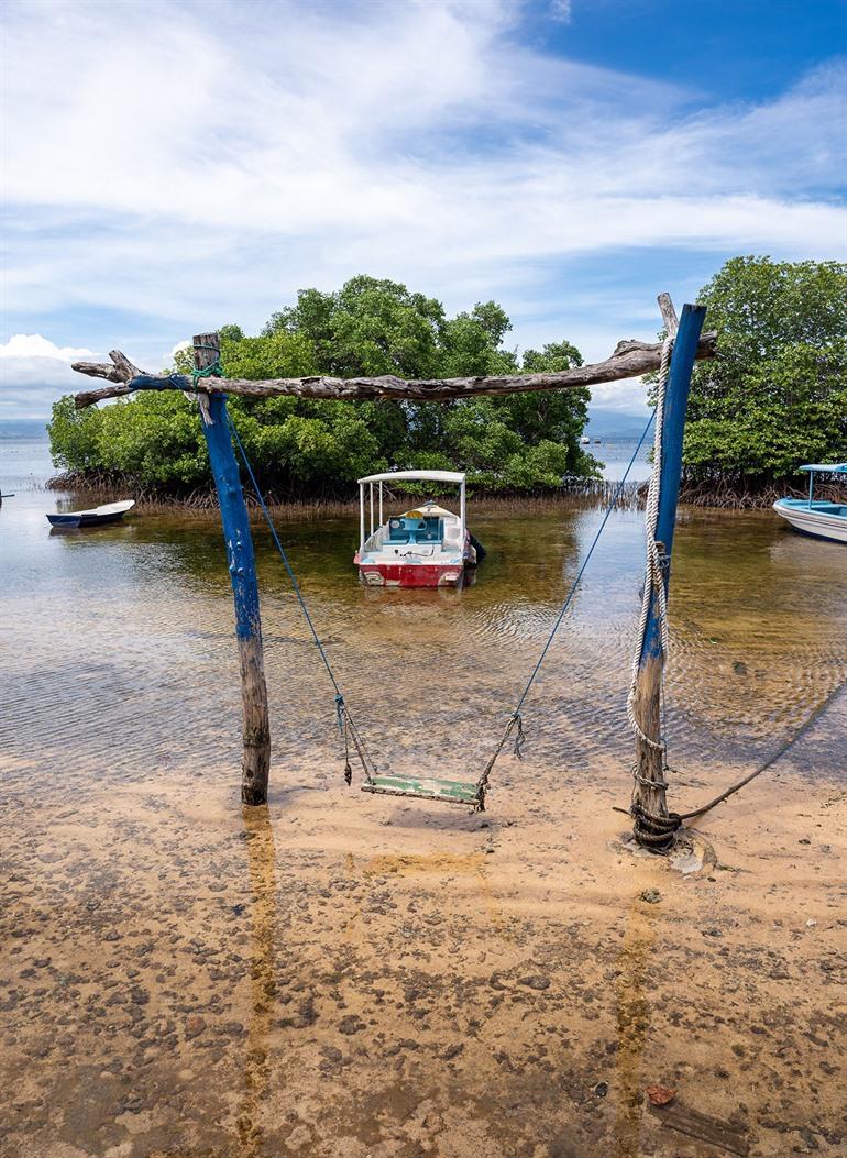 Mangroves bij Nusa Lembongan