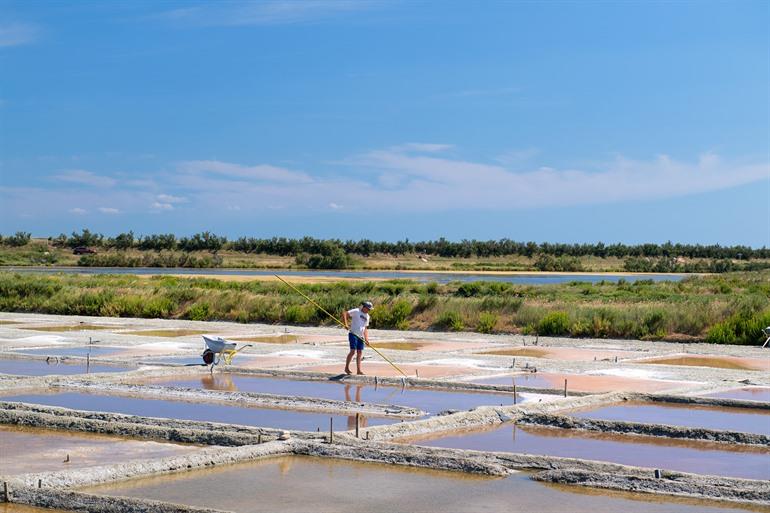 Marais Salant, Île de Ré