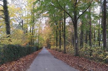 Maredsous wandeling