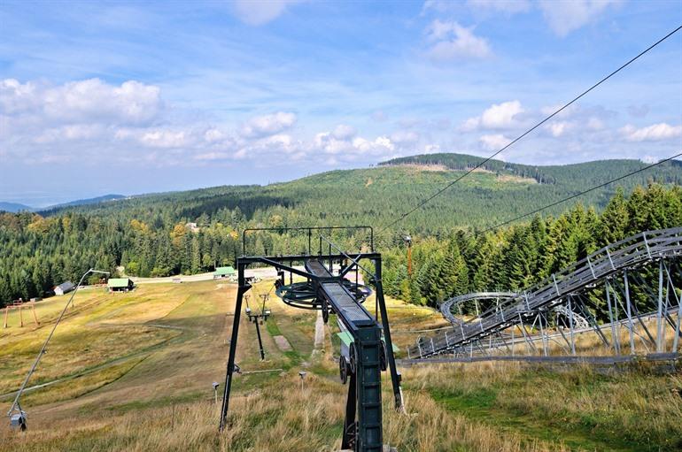 Mehliskopf in het Zwarte Woud