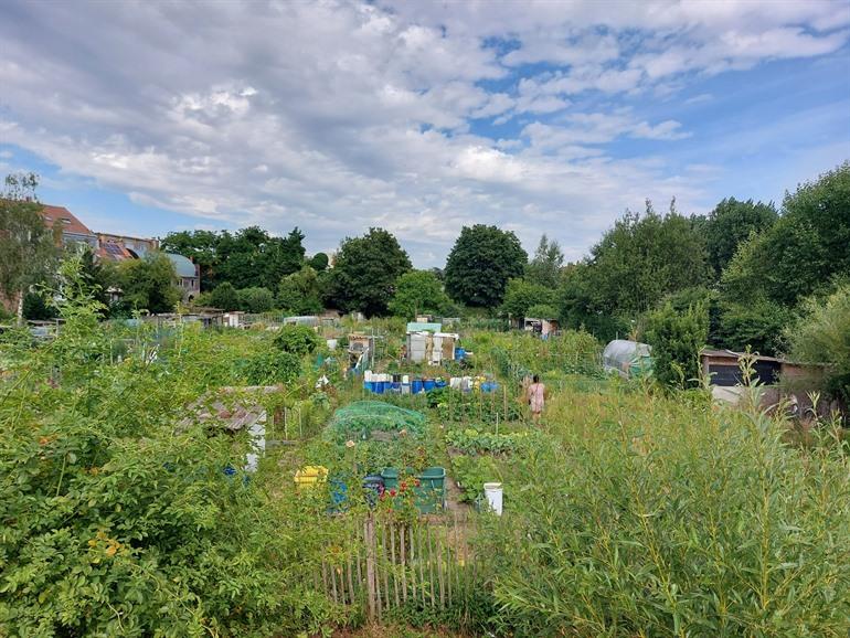 Moestuinen in Bemptpark, Brussel
