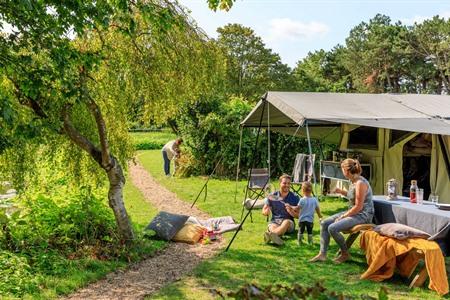 Molecaten Park Waterbos boeken