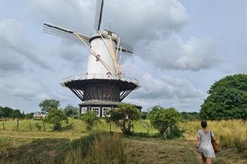 Molen de Koe in Veere