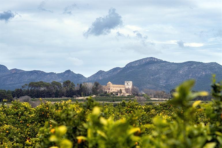 Monasterio de Sant Jeroni de Cotalba