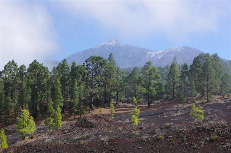 Montañas Negras op Tenerife