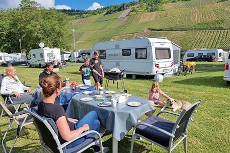 Moselcamping Wolf boeken in Traben-Trarbach