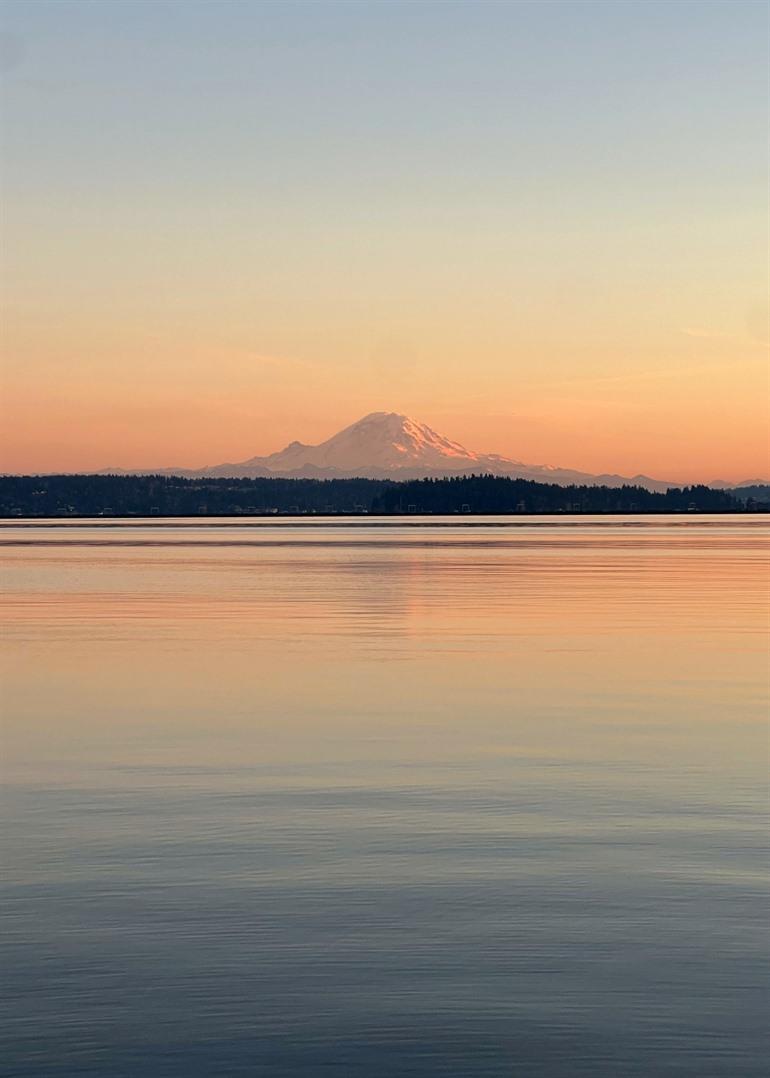 Mount Rainier vanaf Madrona Park