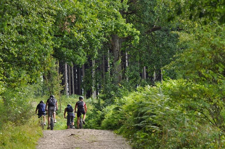 Mountainbiken in de Ardennen