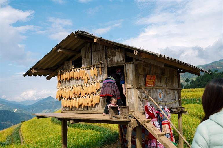 Mu Cang Chai rijstvelden 