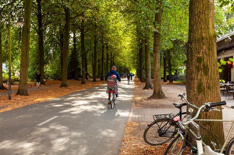 Münster Promenade, een autovrije ring rond het stadscentrum
