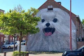 Murals en street-art in Oostende: Chrystal Ship