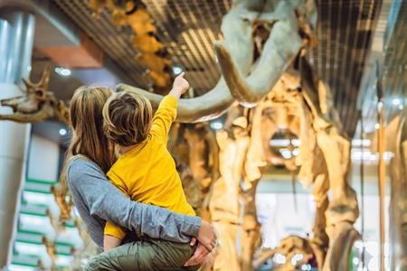 Museum voor Natuurwetenschappen in Brussel