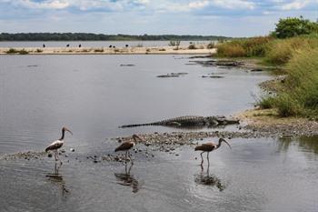 Myakka River State Park