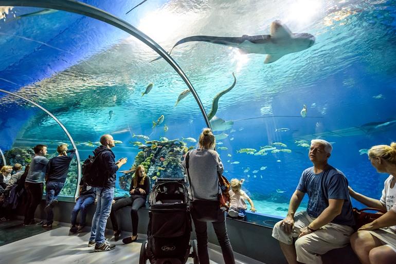 Nationaal Aquarium Denemarken, Den Blå Planet, Kopenhagen