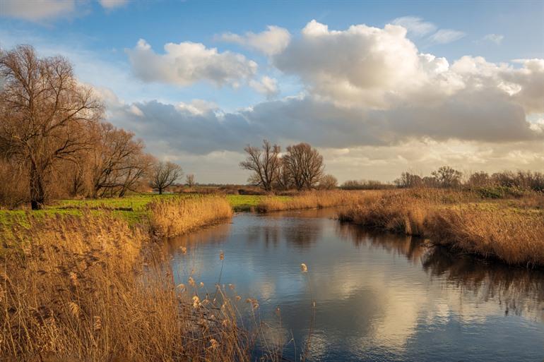 Nationaal Park De Biesbosch in de winter