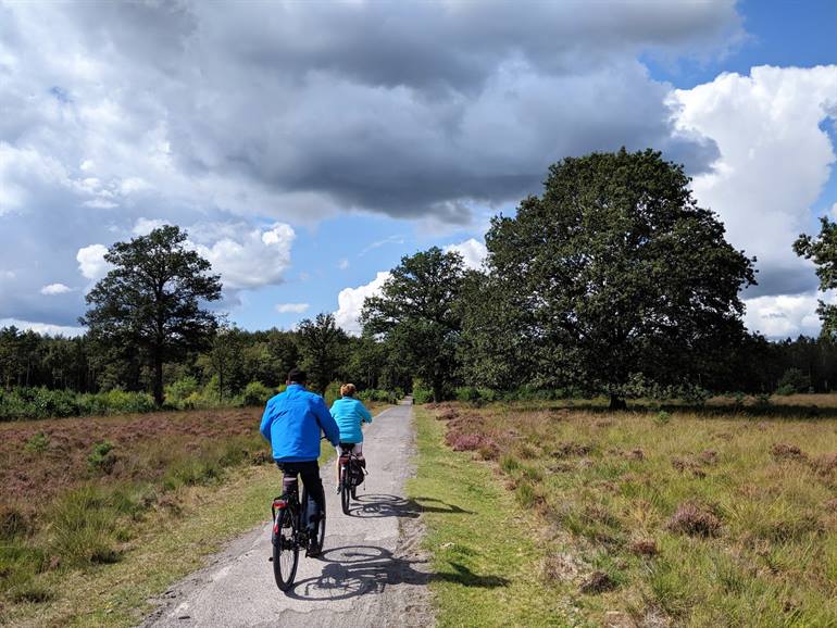 Nationaal Park Drents-Friese Wold